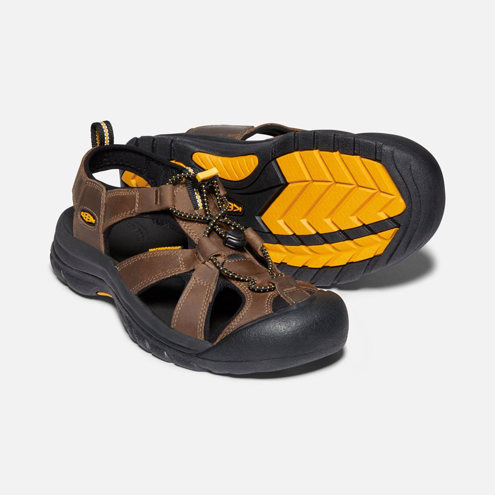 Sandales Keen Homme Marron/Noir | Venice | VQYCM-1506